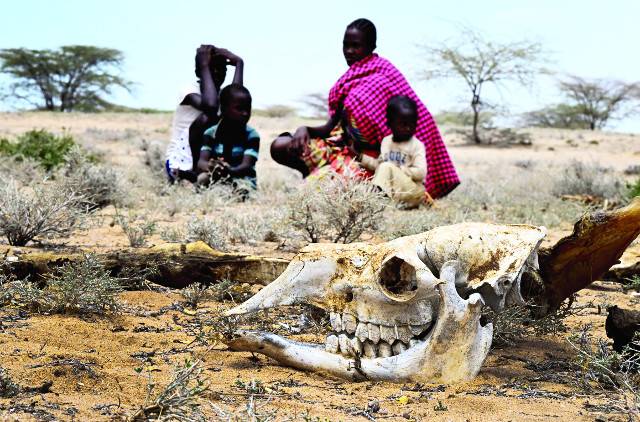 케냐 투르카나주 로드워 지역의 한 마을에서 청소년들이 지난 5일 학교에 가지 못한 채 망연자실한 표정으로 들판에 앉아 있다. 그 앞으로 가뭄으로 죽고 뼈만 남은 낙타 사체가 보인다. 주민 아드메는 "낙타나 염소 등을 팔아서 아이들 등록금을 마련하는데 가축 떼죽음으로 학교에 못 보낸다"고 말했다.