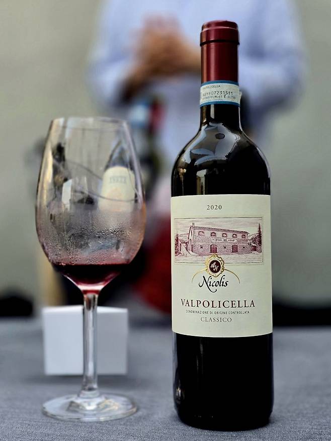 트렌드 인터내셔날 수입 니콜리스 발폴리첼라. 최현태 기자