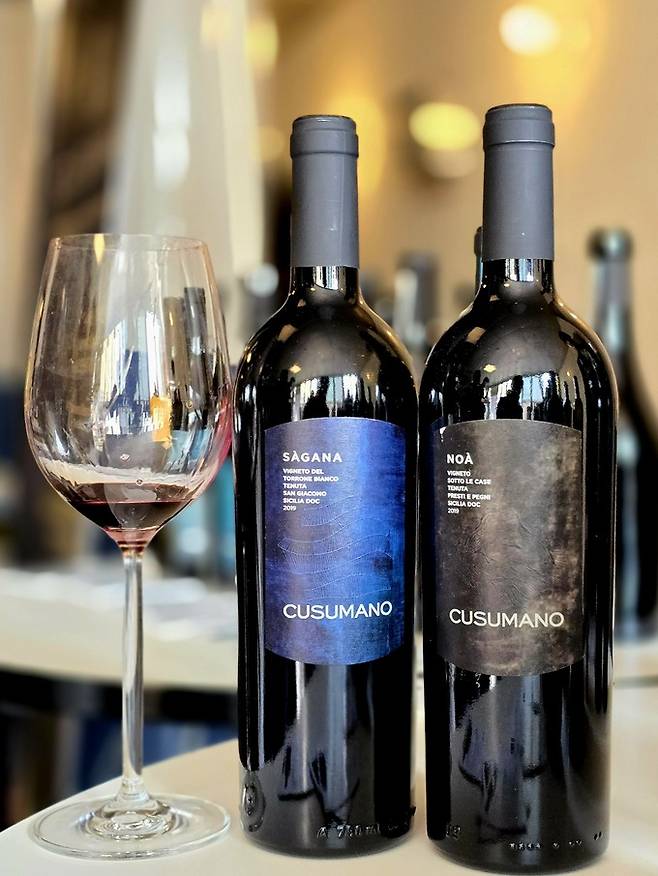 쿠수마노 사가나(왼쪽)와 노아. 최현태 기자