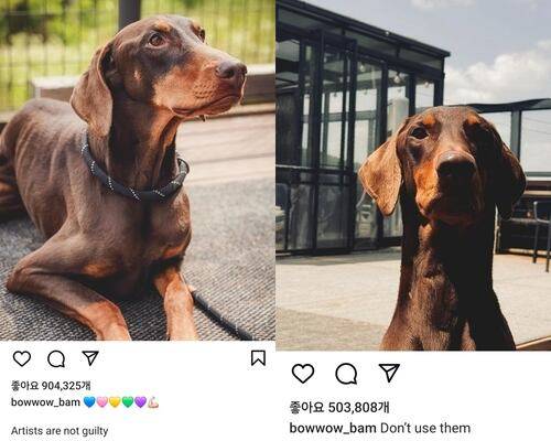 방탄소년단 정국이 인스타그램에 올린 글./인스타그램 캡처