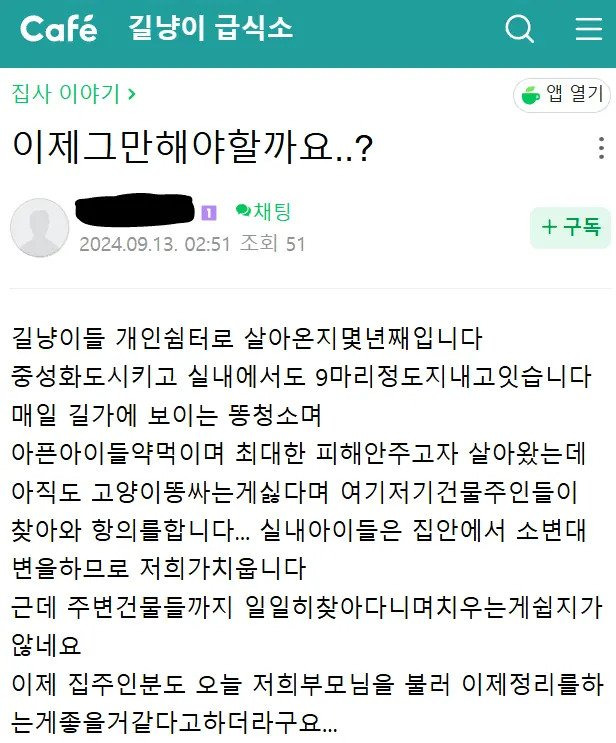 고양이 밥주다 현타온 캣맘...........