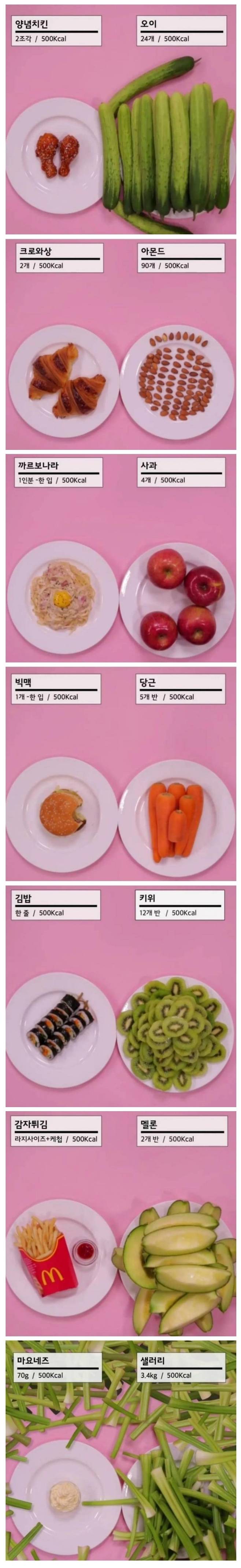 칼로리정보.jpg 음식별 500칼로리 비교