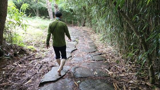 영암 기찬묏길 시누대 구간. 김영주 기자