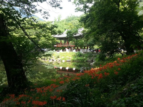 내장산 백양골길. 국립공원공단 제공