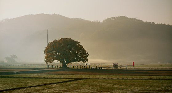 영화 '장손'(11일 개봉)에서 할머니의 장례식날 상여가 마을 고목 아래를 지나고 있다. 주인공 김씨 3대가 사는 대구 시골의 아름다운 한옥 풍광이 주변 자연 경관과 어우러진다. 실제로는 경남 합천에서 촬영했다. 사진 인디스토리