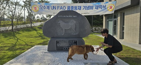 지난 9일 오수개연구소 이정현 기획연구팀장이 4살 오수개 암컷 '거령'과 함께 반려동물 지원센터 주변을 둘러보고 있다. 센터 앞에 지난달 29일 제막식을 한 '오수개 UN FAO 품종 등재' 기념비가 있다. 김준희 기자