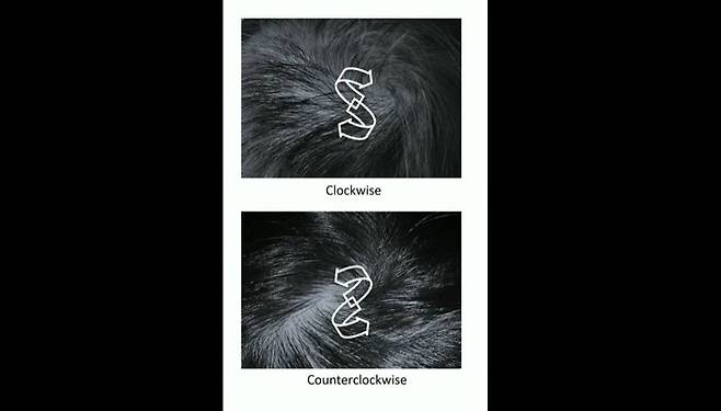 북반구든 남반구든 사람들의 머리카락은 주로 시계 방향으로 휘어지는 경향이 있다. 유튜브 동영상 갈무리