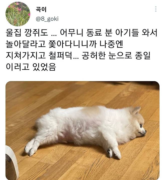 명절후유증에 시달린 댕댕이들