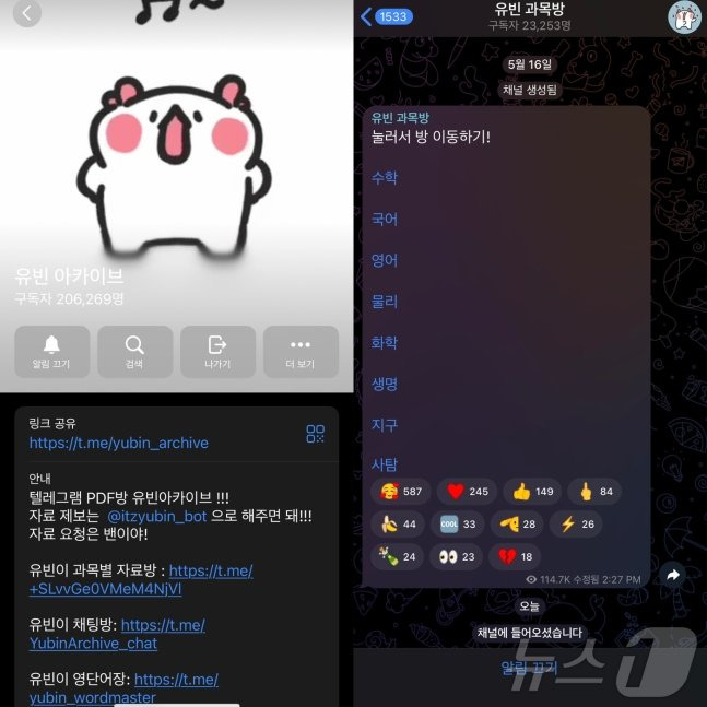 12.jpg "유빈 아카이브 모르면 바보"…수험생 20만 텔레방서 교재 무단 공유