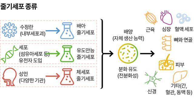 그래픽=송정근기자