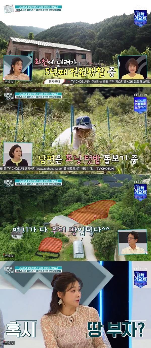TV조선 ‘퍼펙트라이프’ 캡처