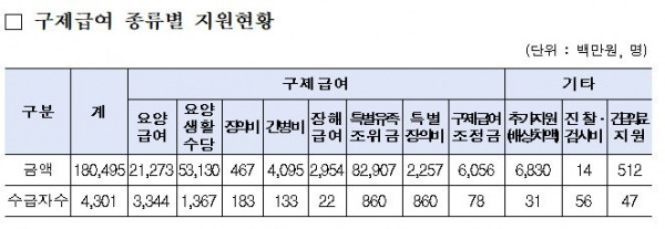 가습기살균제 구제급여 종류별 지원현황. ⓒ환경부