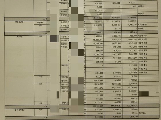 대우산업개발 법인 카드 사용 내역. 이씨는 법인카드 10여개를 썼다.