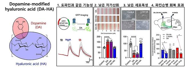 도파민 유사체 '다하'의 특성을 나타낸 모식도 [안전성평가연구소 제공. 재판매 및 DB 금지]