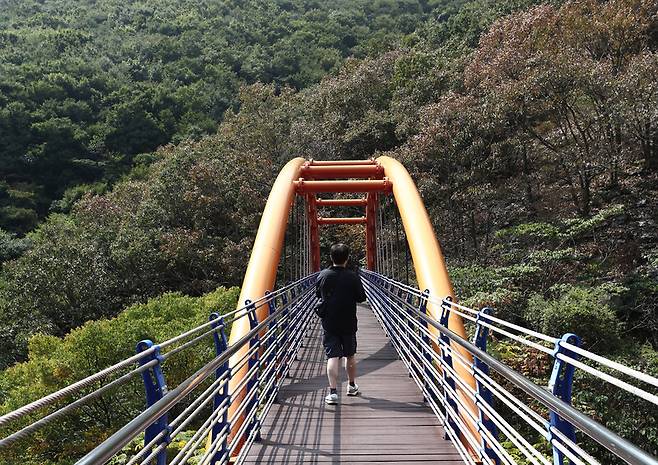 ‘거금생태숲’ 구름다리를 지나는 여행객. 박미향 기자