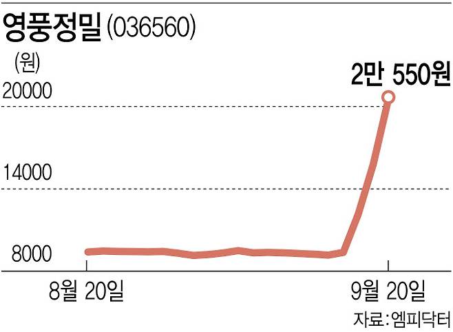 (그래픽=이데일리 김다은 기자)