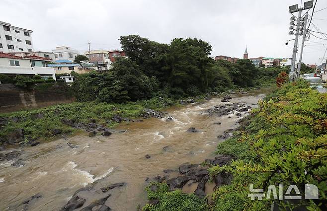 [제주=뉴시스] 우장호 기자 = 제주도 산지를 중심으로 폭우가 쏟아지고 있는 21일 오전 제주시 용담동 한천 복개구조물 인근 골짜기로 빗물이 흘러가고 있다.기상청에 따르면 열대저압부로 약화한 제14호 태풍 '풀라산'의 영향으로 제주와 전라권, 경상권 등에 많은 비가 쏟아질 것으로 전망된다. 2024.09.21. woo1223@newsis.com