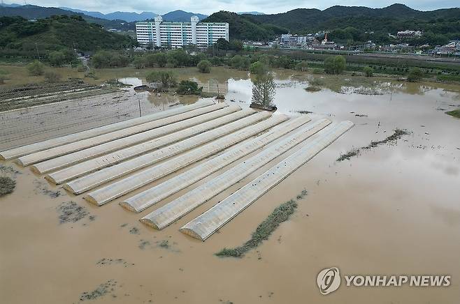 폭우에 잠긴 비닐하우스 (김해=연합뉴스) 김동민 기자 = 최근 이틀간 많은 비가 내린 경남 김해시 한림면 화포천습지생태공원과 농지 일대가 폭우 여파 잠겨 있다.
    현장에 만난 한 농민은 "평소에도 일부 구간은 물이 성인 발목 이상으로 차 있는데 지금은 보는 것처럼 비닐하우스, 인도가 물에 잠겼다"고 말했다. 2024.9.22 image@yna.co.kr