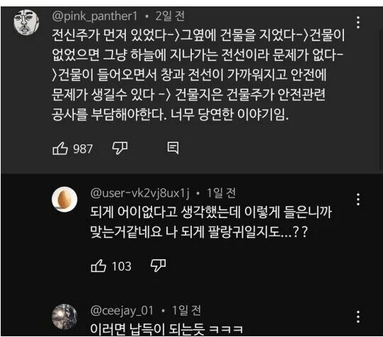 image.png 자기돈 들여서 고압전선 설치했다고 토로하는 연예인.jpg