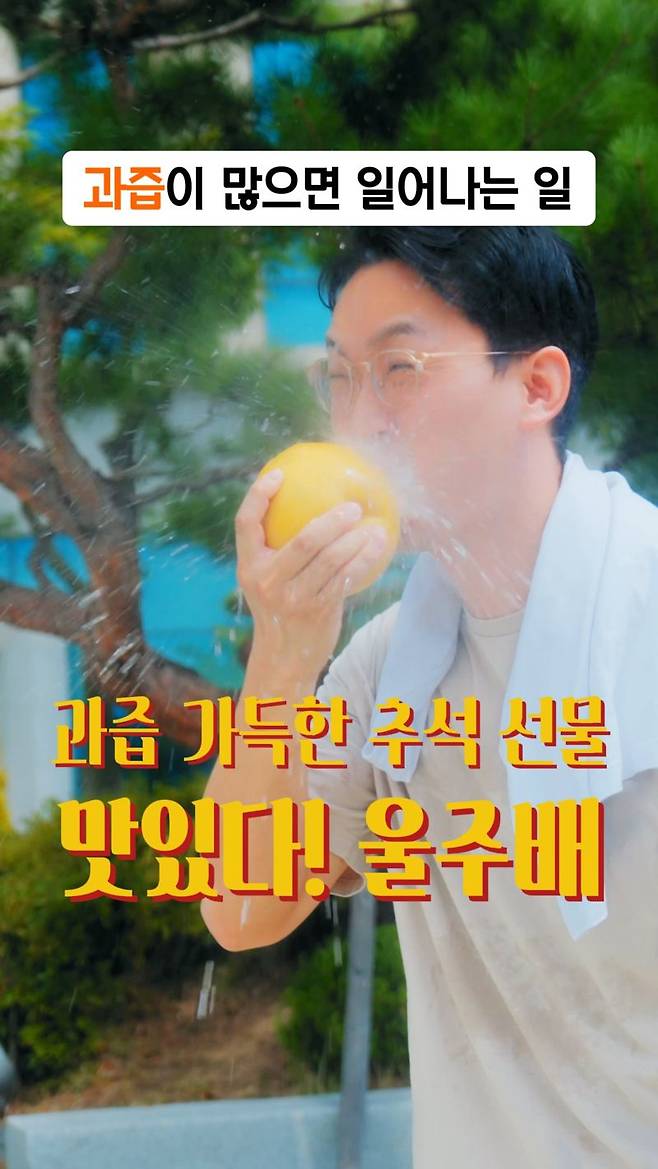 울주배 소개 영상 화면 캡처. 울주군 제공