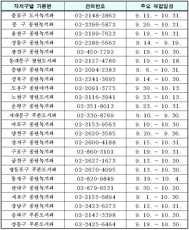 서울시 자치구별 은행나무 열매 채취 기동반 연락처 및 주요 작업 일정 (자료 : 서울시)