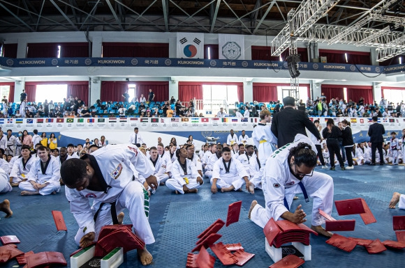 지난해 열린 외국인 태권도 경연축제. 강남구 제공