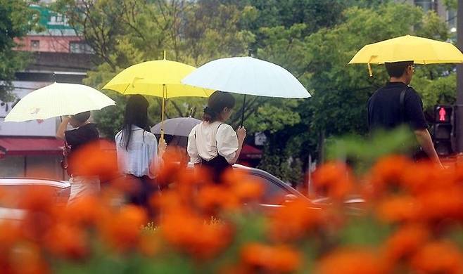 지난 20일 광주 북구청 앞에서 시민들이 내리는 비에 우산을 쓰고 이동하고 있다. ⓒ연합뉴스