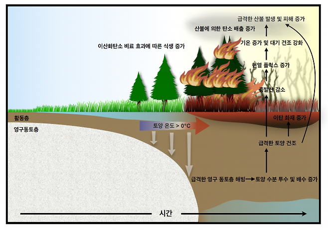 가속화된 지구온난화로 인해 급격하게 영구동토층이 해빙되고 이에 따른 북반구 극지역의 산불이 강화된다는 메커니즘을 설명하는 그림. IBS 제공