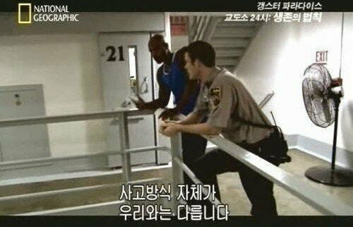 image.png 여경 시험 정자세 팔굽혀 펴기 여시 댓글 반응