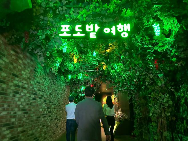 지난 24일 오후 4시 충청북도 영동군 와인터널 전경. /박지윤 기자