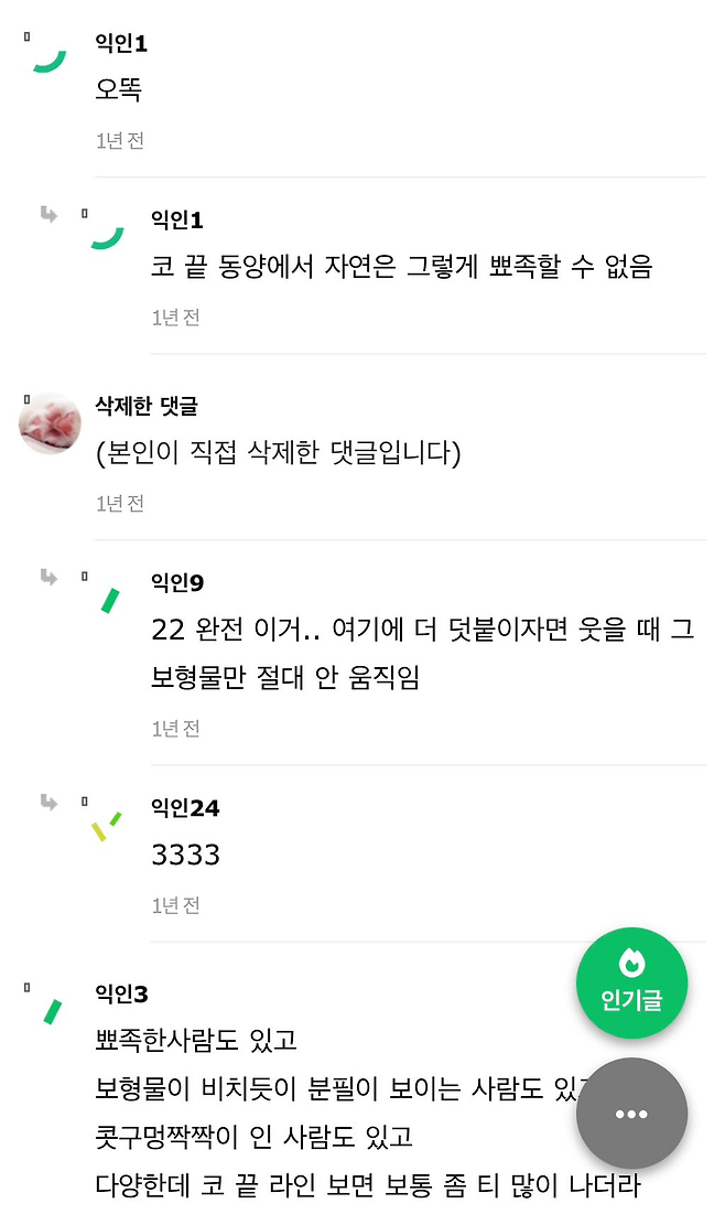 image.png 누가봐도 코성형 티나는 사람 특징