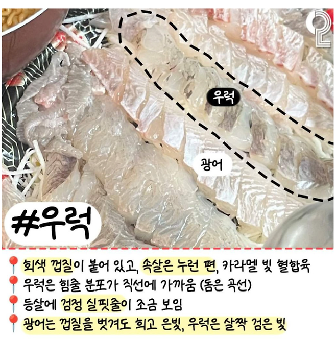 image.png 회 러버들이 꼭 알고 있어야 할 알고 먹으면 더 맛있는 모듬회 간단정리