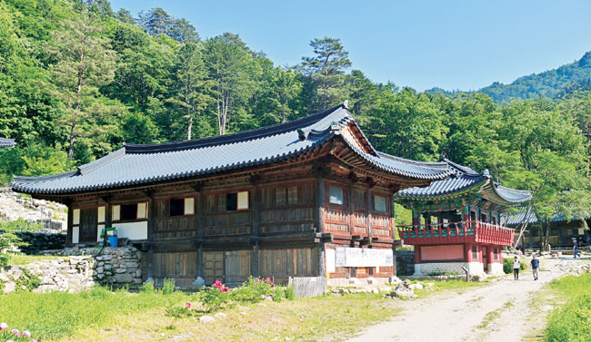 내설악 영시암. 가을이면 단풍 붉게 물드는 여기까지는 평지와 다를 게 없는 편안한 길이다.