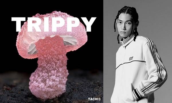 릴타치 / 사진=그루블린 제공