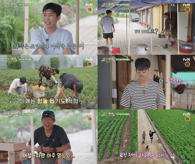 tvN '삼시세끼' 임영웅 출연 장면