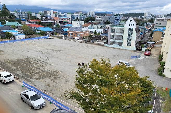 지난해 철거된 강원 강릉시 입암동 '대목금강연립'이 있던 부지. 강릉시 제공