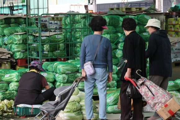 ‘오늘은 배추 얼마에요?’ - 배추 가격 고공행진이 이어진 27일 서울 송파구 가락시장에서 배추가 판매되고 있다. 2024.9.27 연합뉴스