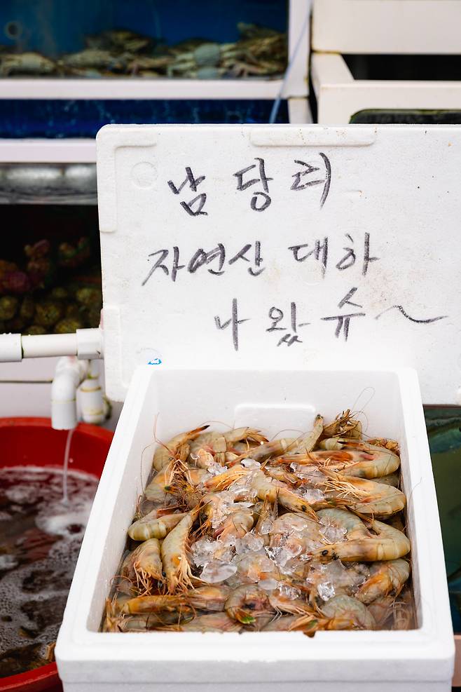 10월 31일까지 '홍성 남당항 대하 축제'를 여는 '남당항 해양수산복합센터(남당항 수산 시장)'의 판매대에서 대하가 제철이 왔음을 알리고 있다. / 이건송 영상미디어 기자