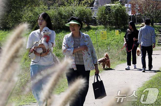 29일 경기도 남양주시 봉선사에서 열린 반려견과 함께하는 선명상 축제를 찾은 반려인과 반려견이 걷기명상을 하고 있다. 2024.9.29/뉴스1 ⓒ News1 박세연 기자