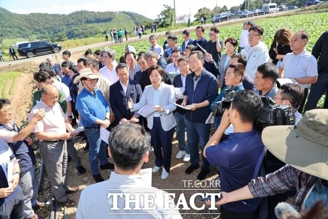 송미령 농림축산식품부 장관이 29일 배추 작황을 점검을 위해 해남군 화원면 배추 포전을 방문해 향후 수급 지원방안에 대해 논의했다./해남군