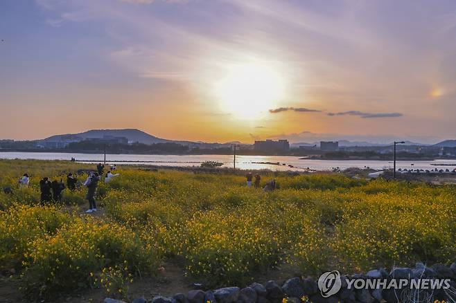 제주도 성산 바다 [연합뉴스 자료사진]