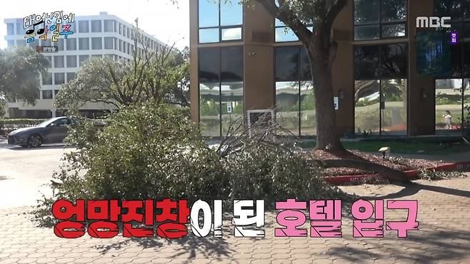 사진=MBC '태어난 김에 음악일주'