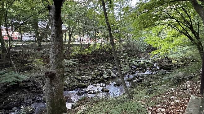 IMG_1559.jpeg 경치가 끝내주는 이른아침 내장산 국립공원의 백양사