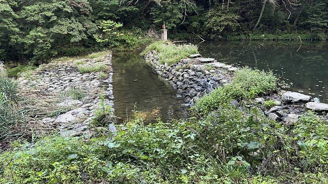 IMG_1563.jpeg 경치가 끝내주는 이른아침 내장산 국립공원의 백양사