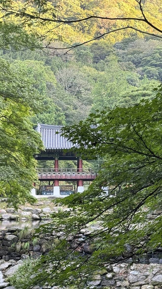 IMG_1564.jpeg 경치가 끝내주는 이른아침 내장산 국립공원의 백양사