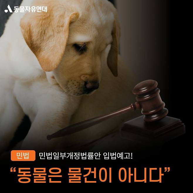 사진=동물자유연대