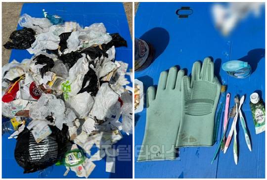 특수청소 전문업체 관계자 B씨가 직접 공개한 청소 현장 사진. <온라인 커뮤니티>