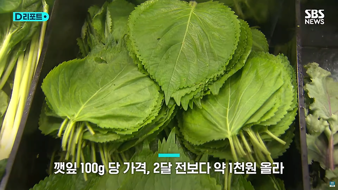 스크린샷(995).png 쌈채소 추가, 부담스러워요…깻잎 한 장에 100원?