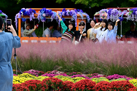 　 고양 가을꽃 축제를 찾은 시민들이 가을 정취를 만끽하며 사진을 찍고 있다. 문호남 기자