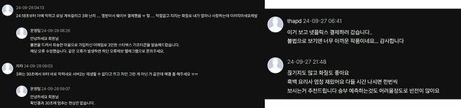 [서울=뉴시스] 콘텐츠 내 이용자들이 직접 댓글을 단 모습. (사진= '누누티비' 홈페이지 캡처 ) 2024.09.30. photo@newsis.com *재판매 및 DB 금지